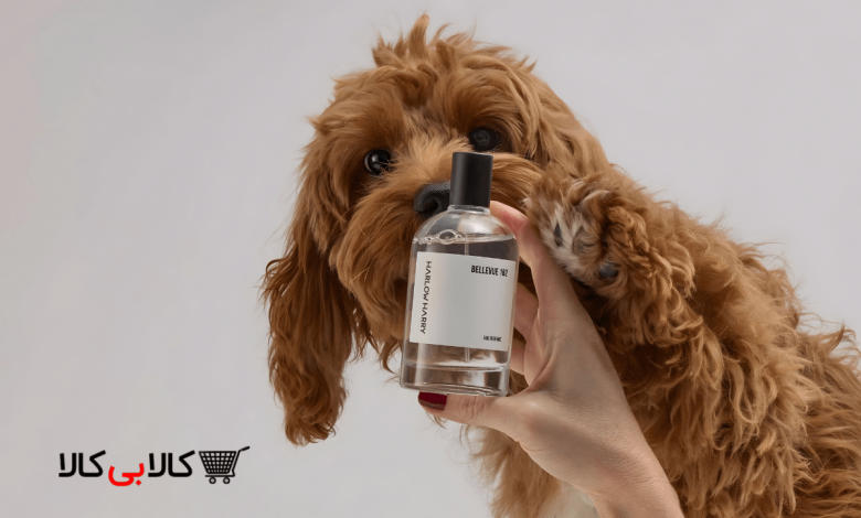 عطر و خوشبو کننده سگ چیست ؟