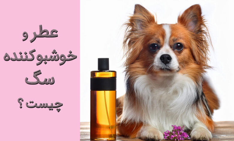 عطر و خوشبو کننده سگ چیست