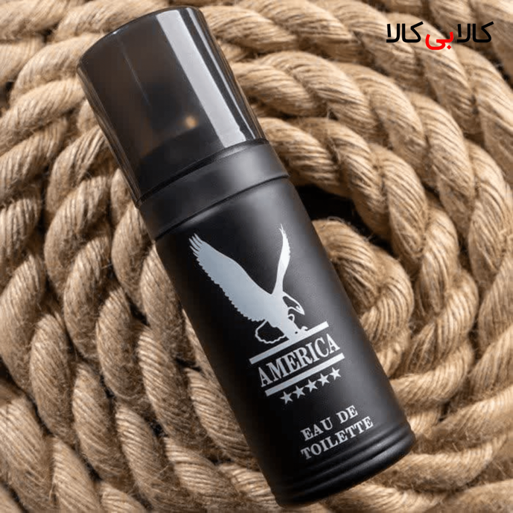 Milton Lloyd America