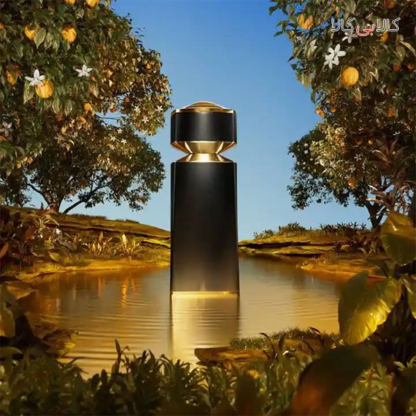 عطر تلخ و خنک مردانه