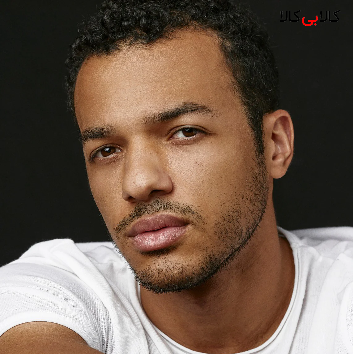 طراح عطر مفیستو